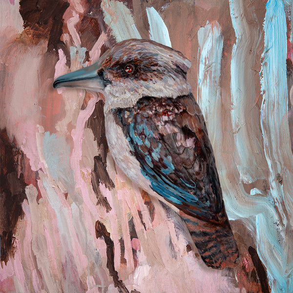 Kookaburra Project